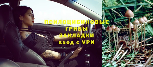 эйфоретик Беломорск